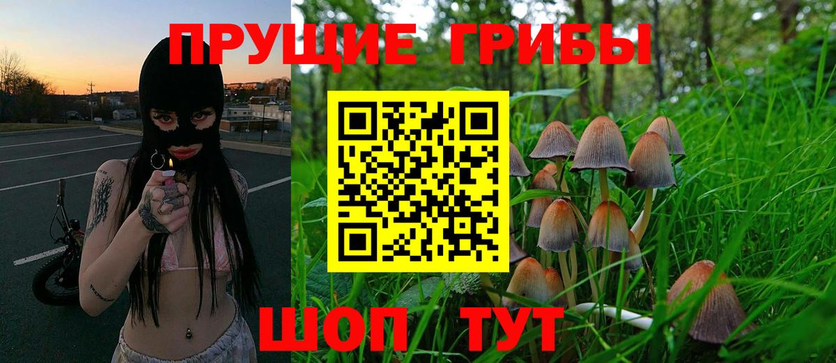 Тюмень  Галлюциногенные грибы Psilocybine cubensis  Вход с VPN 